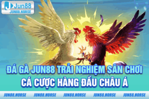 Đá Gà JUN88 - Trải Nghiệm Sân Chơi Cá Cược Hàng Đầu Châu Á