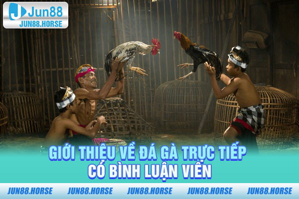 Giới thiệu về đá gà trực tiếp có bình luận viên