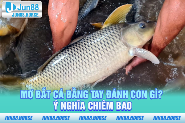 Mơ Bắt Cá Bằng Tay Đánh Con Gì Và Ý Nghĩa Chiêm Bao